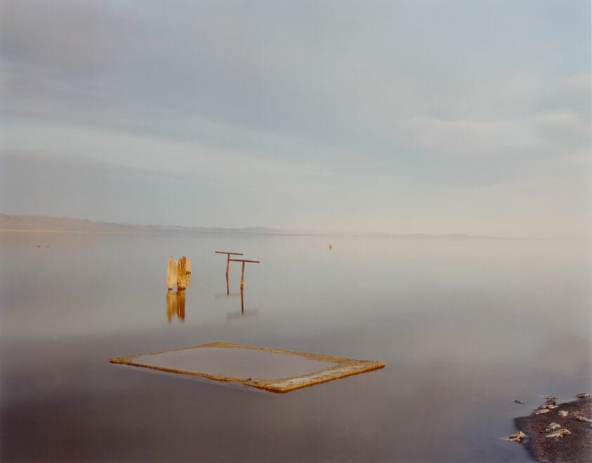 Dead Fish, Salton Sea by Richard Misrach, 1983